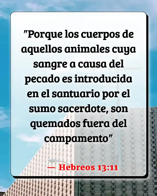 Versículos De La Biblia   	Deuda  (Hebreos 13:11)