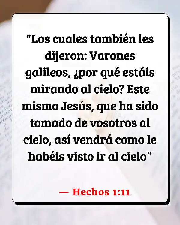 Versículos De La Biblia Acceso (Hechos 1:11)