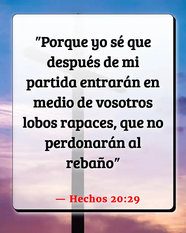 Versículos De La Biblia   	Sueños malos  (Hechos 20:29)