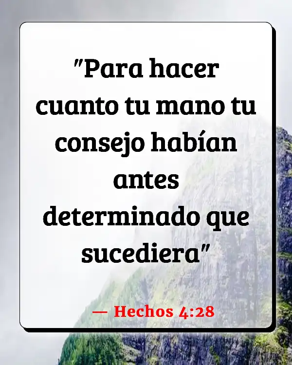 Versículos De La Biblia Accidentes (Hechos 4:28)