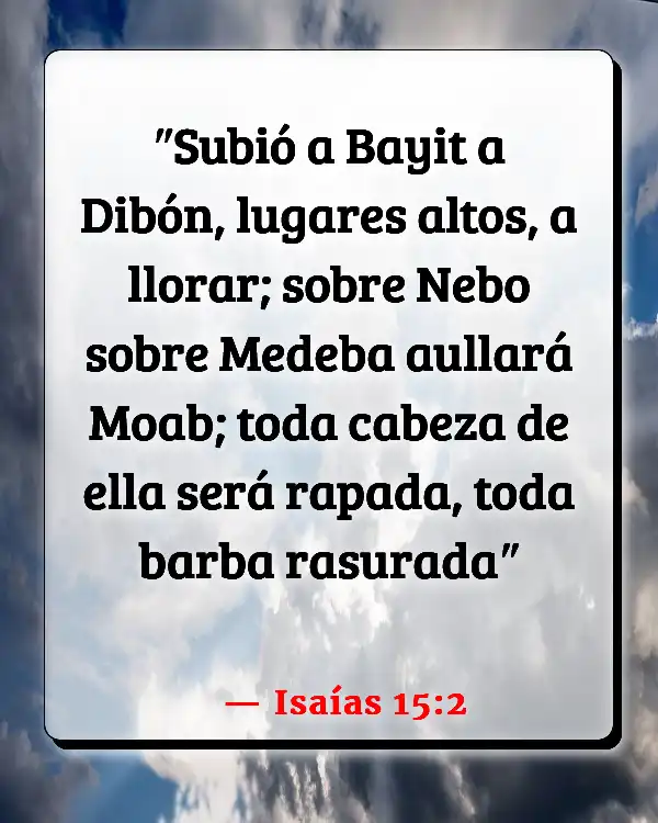 Versículos De La Biblia   	Calvicie  (Isaías 15:2)
