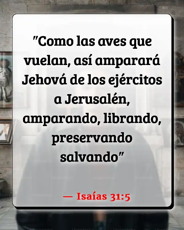 Versículos De La Biblia   	Aviones  (Isaías 31:5)
