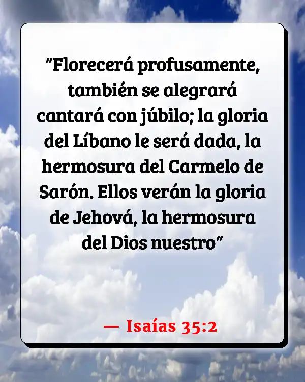Versículos De La Biblia Babuinos (Isaías 35:2)