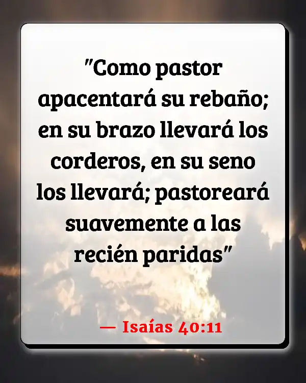 Versículos De La Biblia Perdido (Isaías 40:11)