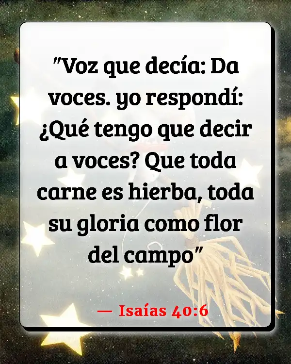 Versículos De La Biblia   	Rosas  (Isaías 40:6)