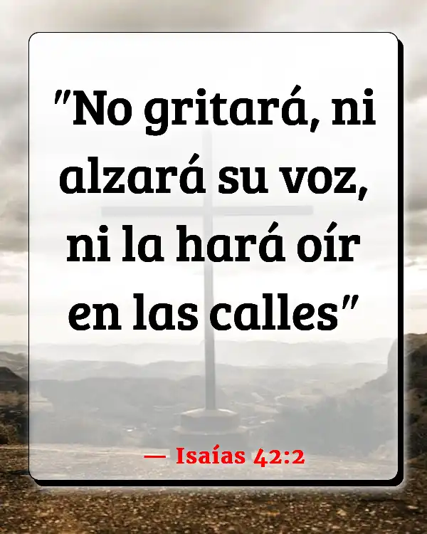 Versículos De La Biblia   	Buscadores de atención  (Isaías 42:2)