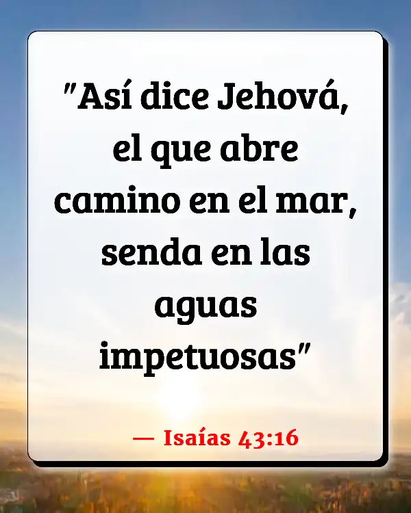 Versículos De La Biblia   	Ciencia  (Isaías 43:16)