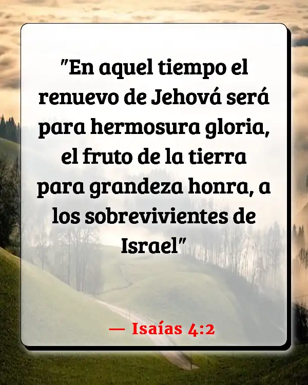 Versículos De La Biblia   	Agismo  (Isaías 4:2)