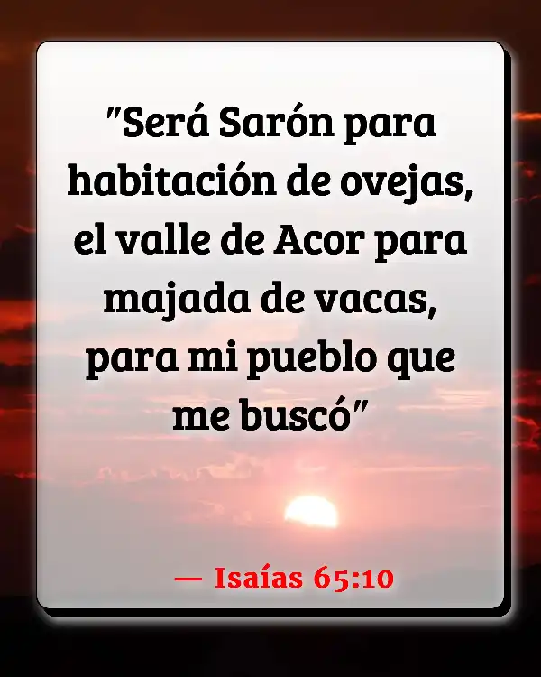 Versículos De La Biblia   	Siete veces  (Isaías 65:10)