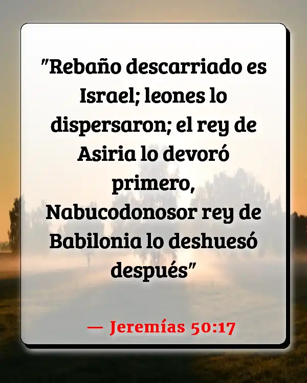 Versículos De La Biblia Leones (Jeremías 50:17)