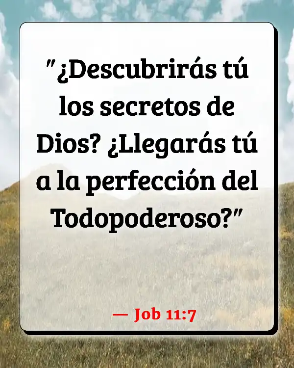 Versículos De La Biblia Trascendencia (Job 11:7)