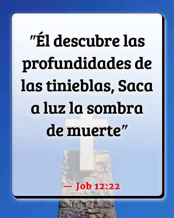 Versículos De La Biblia   	Historia negra  (Job 12:22)
