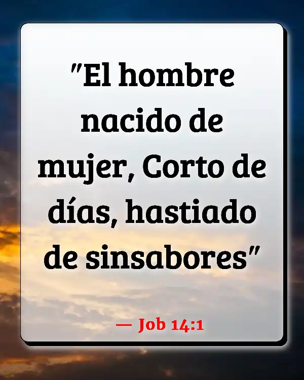 Versículos De La Biblia Edad y sabiduría (Job 14:1)