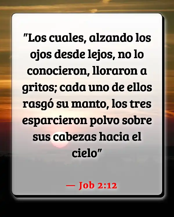 Versículos De La Biblia   	Cenizas  (Job 2:12)