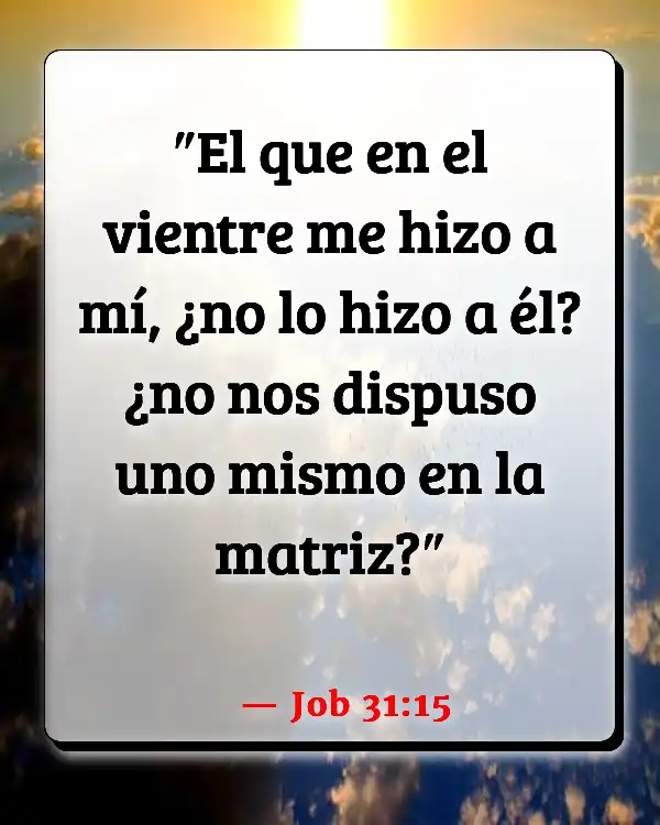 Versículos De La Biblia Aborto (Job 31:15)