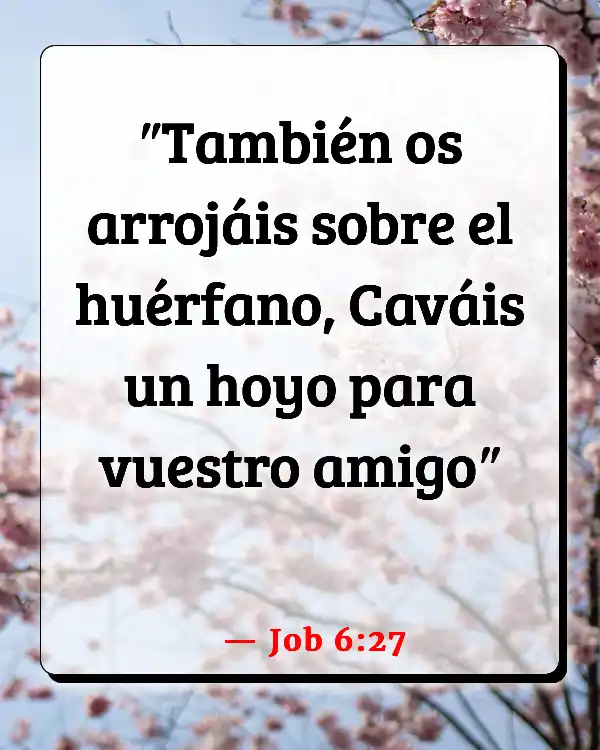 Versículos De La Biblia   	Fosa  (Job 6:27)
