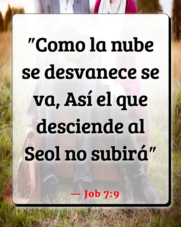 Versículos De La Biblia   	Reencarnación  (Job 7:9)