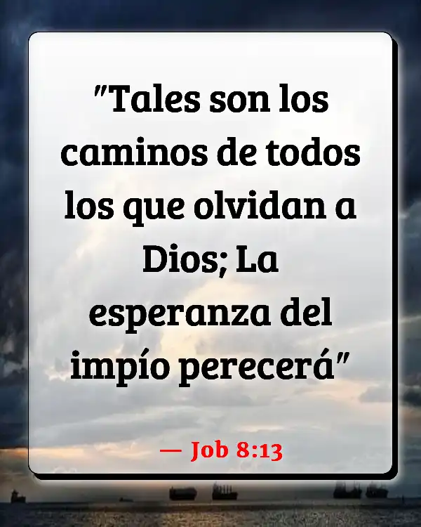 Versículos De La Biblia   	Hipócritas religiosos  (Job 8:13)