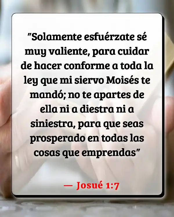 Versículos De La Biblia   	Ser valiente  (Josué 1:7)
