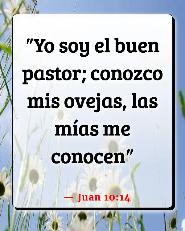 Versículos De La Biblia   	Oveja  (Juan 10:14)