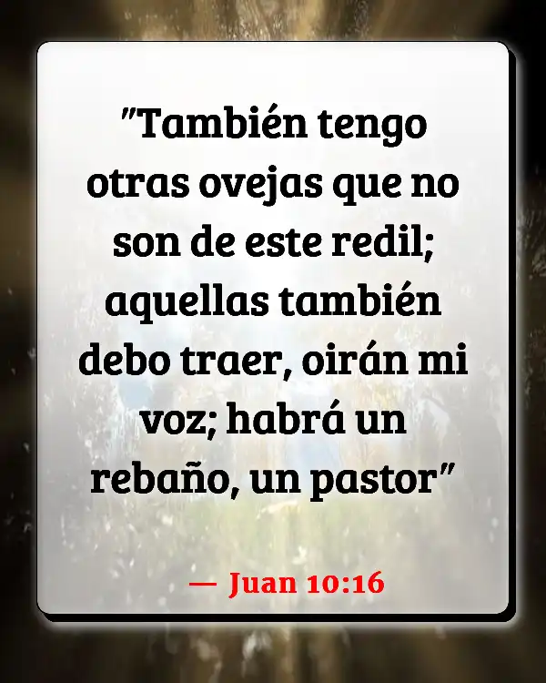 Versículos De La Biblia Extraterrestres (Juan 10:16)