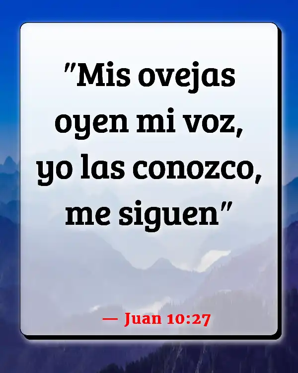 Versículos De La Biblia   	Solo  (Juan 10:27)