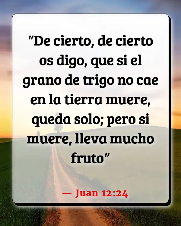 Versículos De La Biblia   	Plantando semillas  (Juan 12:24)