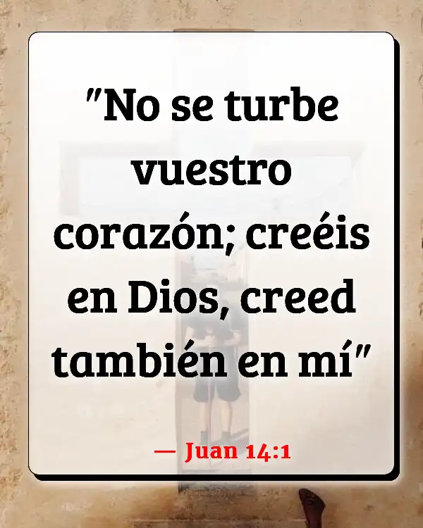 Versículos De La Biblia Perdido (Juan 14:1)