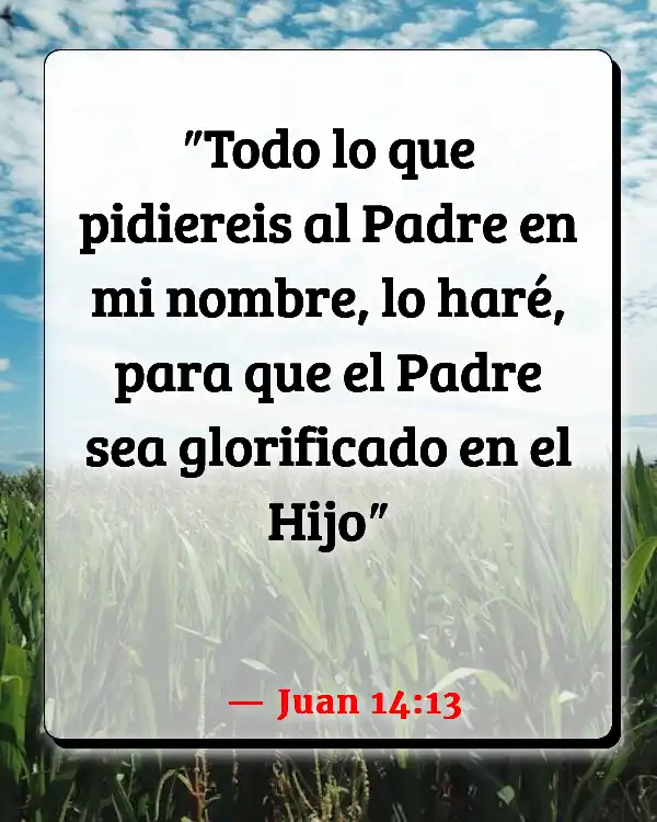 Versículos De La Biblia Padres ausentes (Juan 14:13)