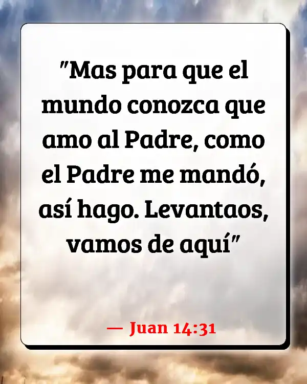 Versículos De La Biblia Arrianismo (Juan 14:31)