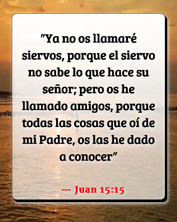 Versículos De La Biblia Amistad (Juan 15:15)