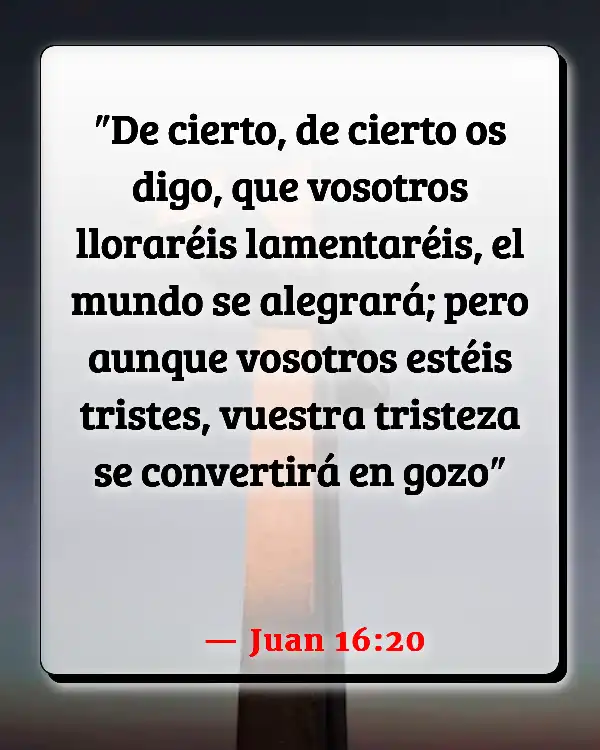 Versículos De La Biblia   	Dolores de parto  (Juan 16:20)