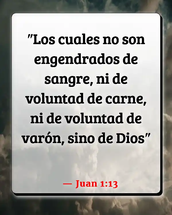 Versículos De La Biblia   	Nuevo nacimiento  (Juan 1:13)