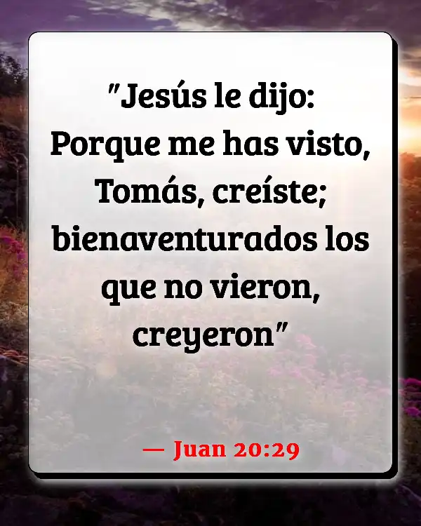 Versículos De La Biblia Bendiciones de Dios (Juan 20:29)