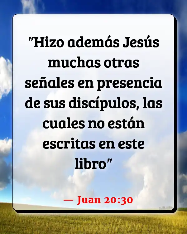 Versículos De La Biblia Entrada triunfal (Juan 20:30)