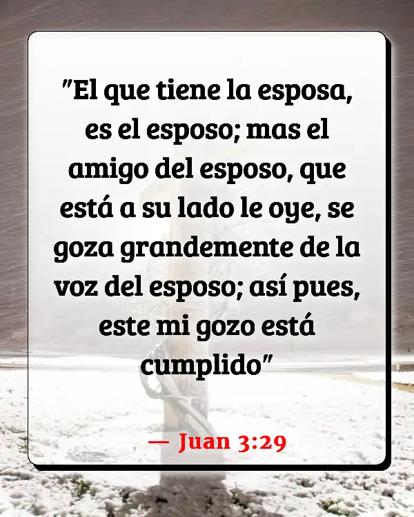 Versículos De La Biblia   	Perfume  (Juan 3:29)