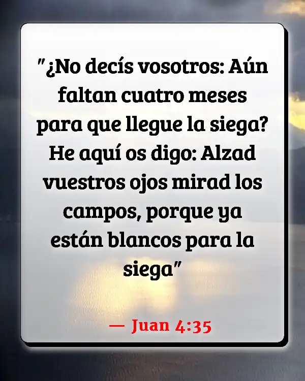 Versículos De La Biblia   	Agricultura  (Juan 4:35)