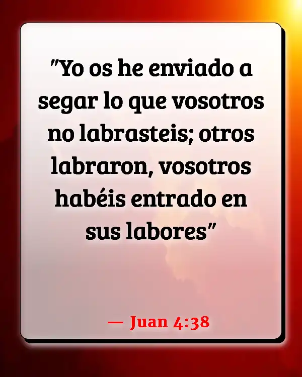 Versículos De La Biblia Trabajando duro (Juan 4:38)