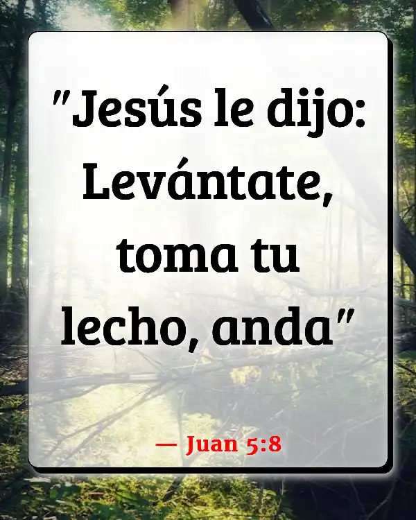 Versículos De La Biblia Ser orgulloso (Juan 5:8)