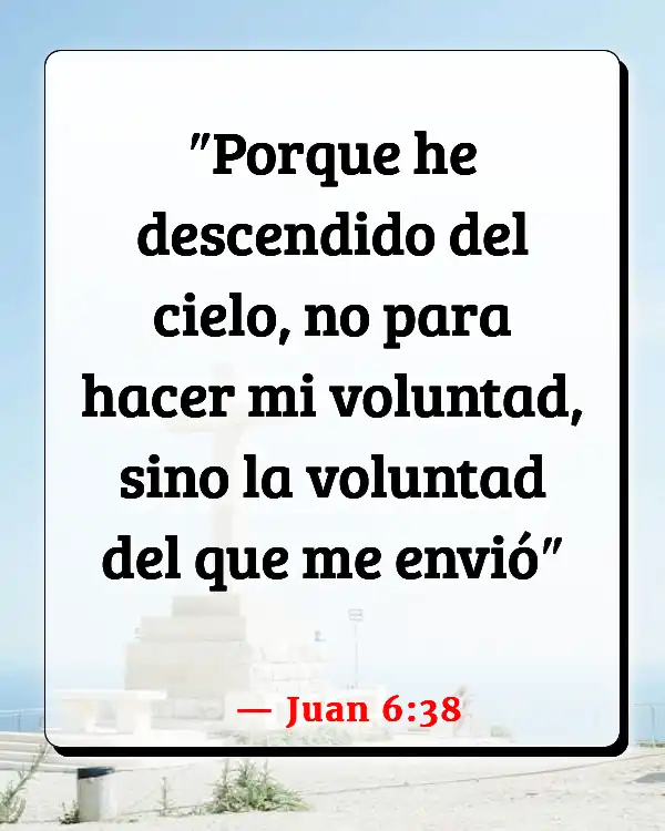 Versículos De La Biblia El que se quita la vida (Juan 6:38)