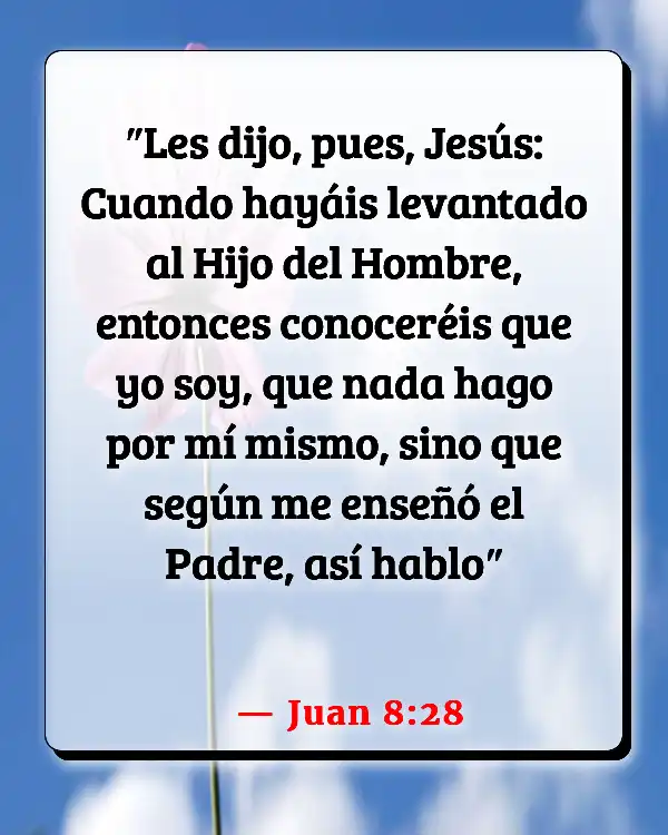 Versículos De La Biblia El que se quita la vida (Juan 8:28)