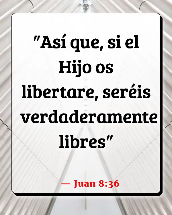 Versículos De La Biblia   	Abstenerse de drogas  (Juan 8:36)
