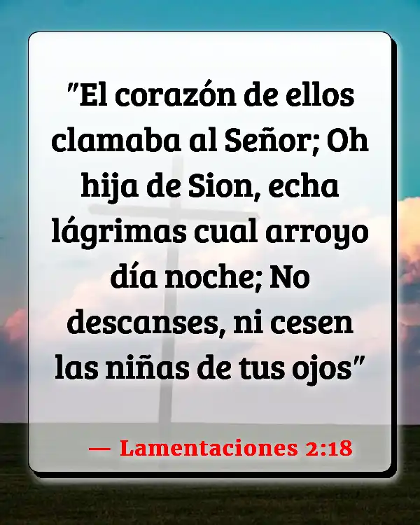 Versículos De La Biblia   	Lágrimas  (Lamentaciones 2:18)
