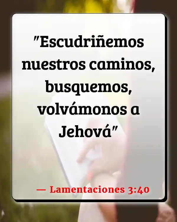 Versículos De La Biblia Nuestras vidas (Lamentaciones 3:40)