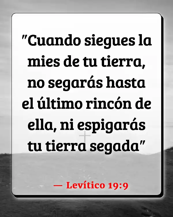 Versículos De La Biblia Noemí (Levítico 19:9)