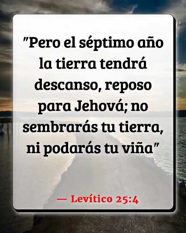 Versículos De La Biblia   	Agismo  (Levítico 25:4)