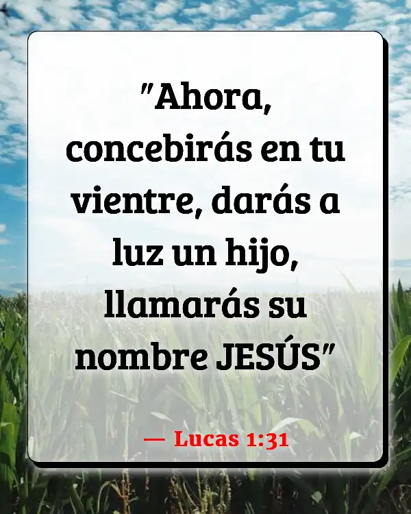 Versículos De La Biblia José y María (Lucas 1:31)