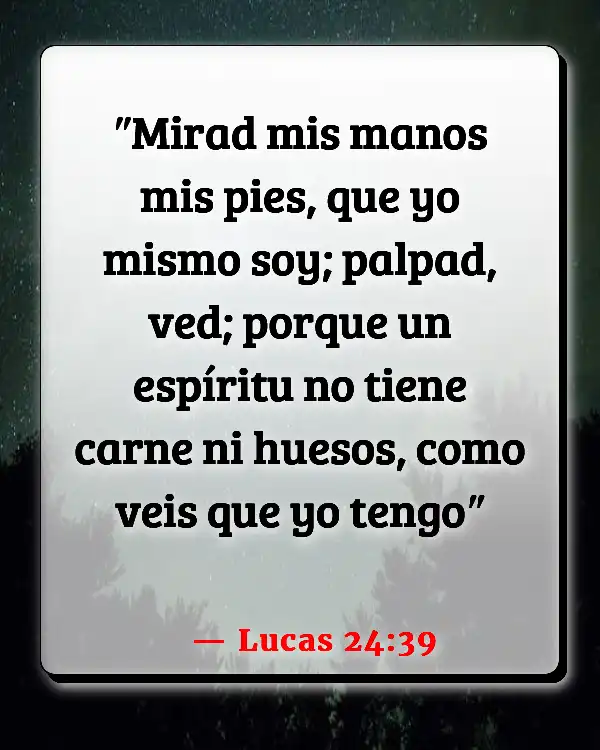 Versículos De La Biblia Paranormal (Lucas 24:39)