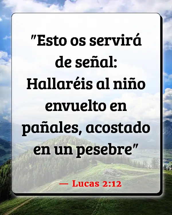 Versículos De La Biblia   	Nacimiento de jesus  (Lucas 2:12)