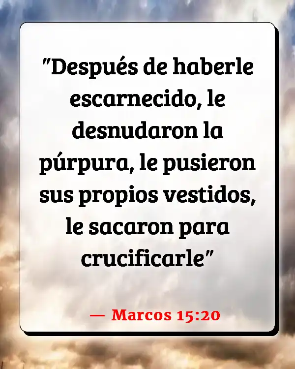 Versículos De La Biblia   	Púrpura  (Marcos 15:20)